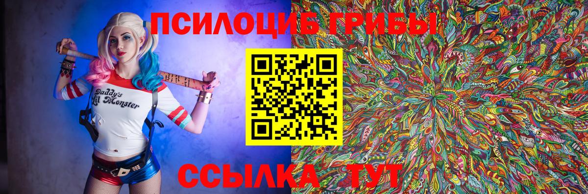 Фрязино  Псилоцибиновые грибы Cubensis  закладка  Псилоцибиновые грибы Psilocybe  Вход с VPN 