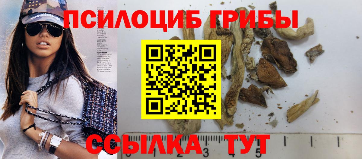 Псилоцибиновые грибы прущие грибы Фрязино